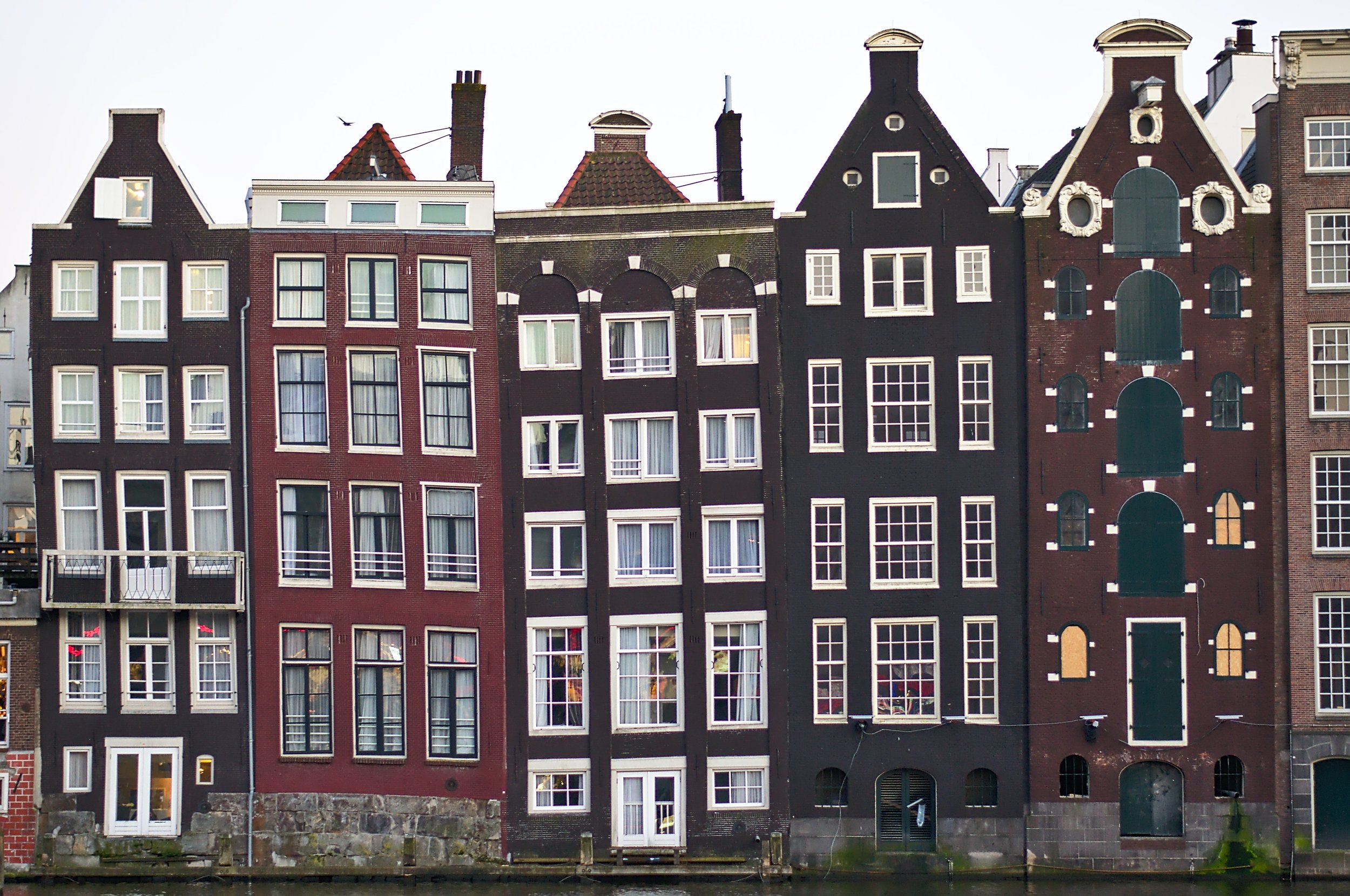 First Dutch ban on meat ads