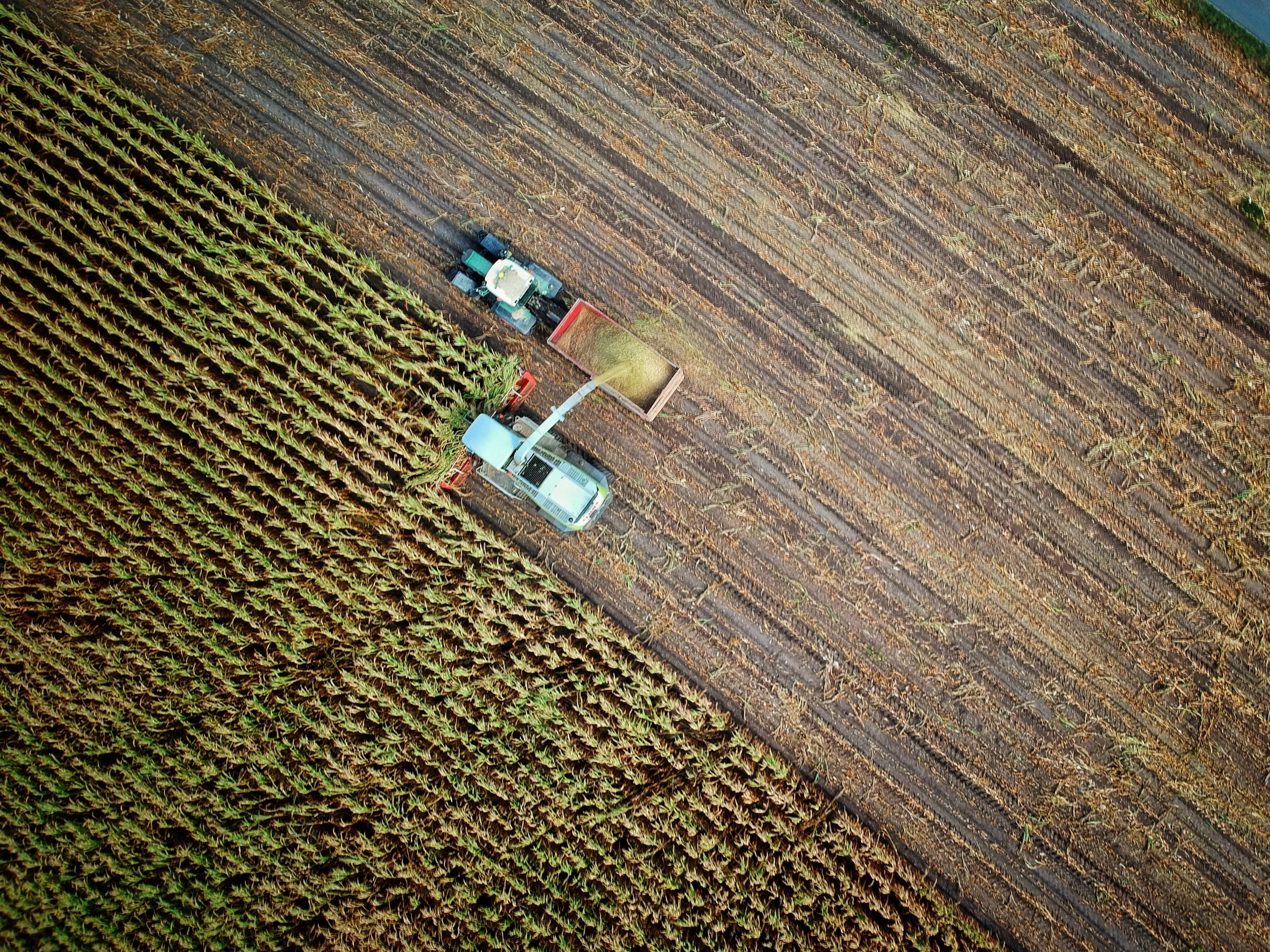 Transitional Farming