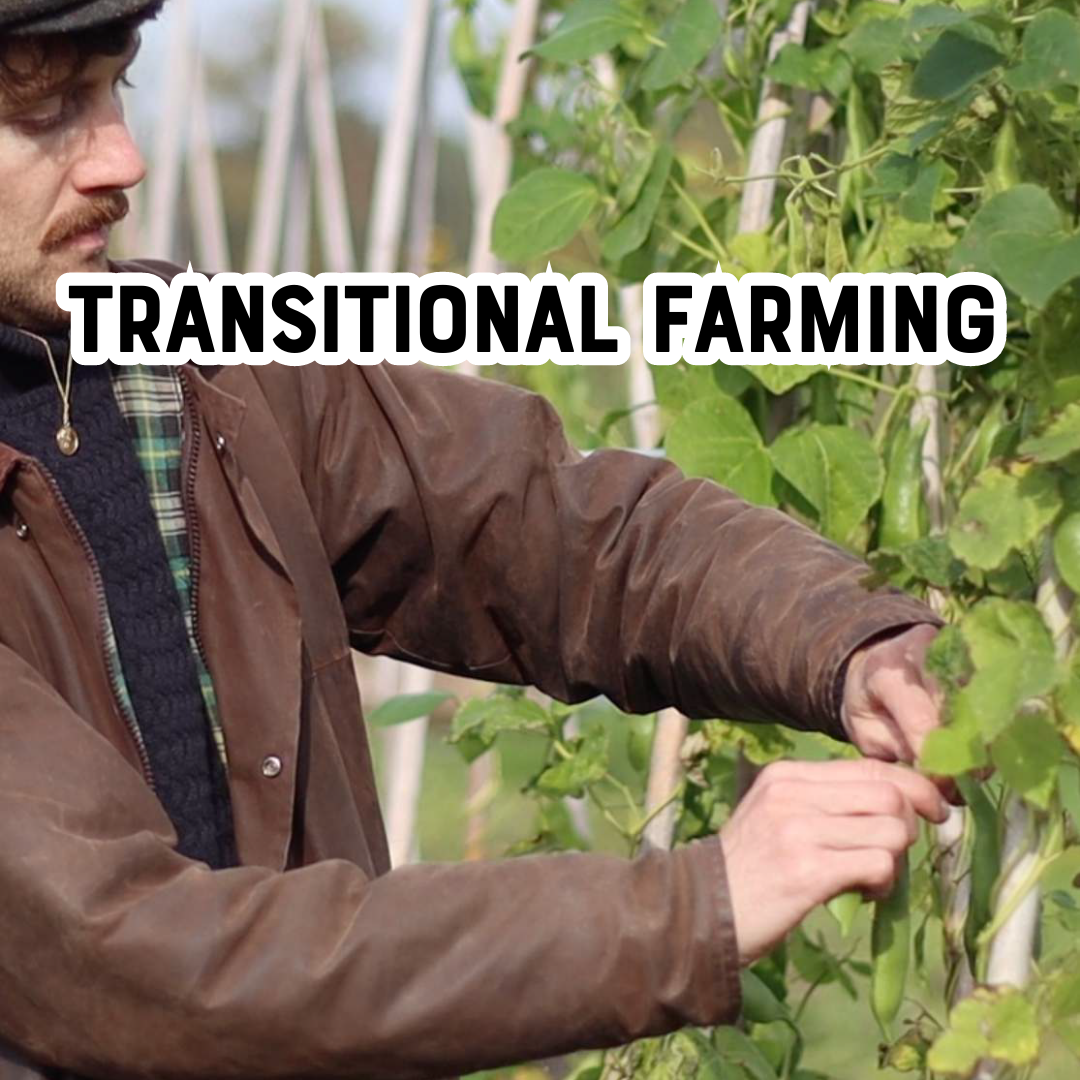 Transitional farming